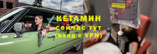 ешки Ельня