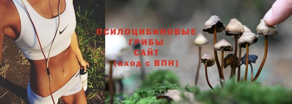 ешки Ельня