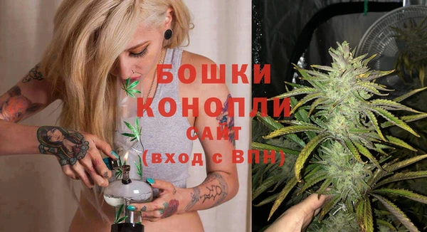 ешки Ельня