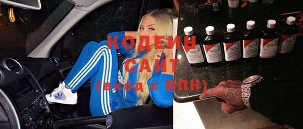 ешки Ельня