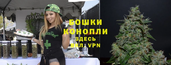 ешки Ельня